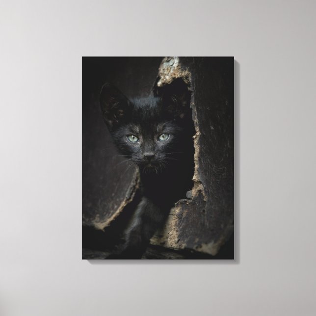 Toile Little Black Kitty (Recto)
