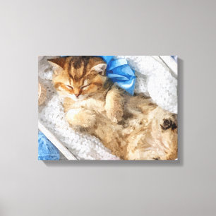 Toile Little Kitty Parmi Les Fils
