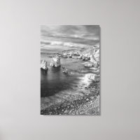 Littoral de la plage en N&B, Californie