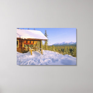 Toile Location de la cabane USFS Schnauss en hiver surpl