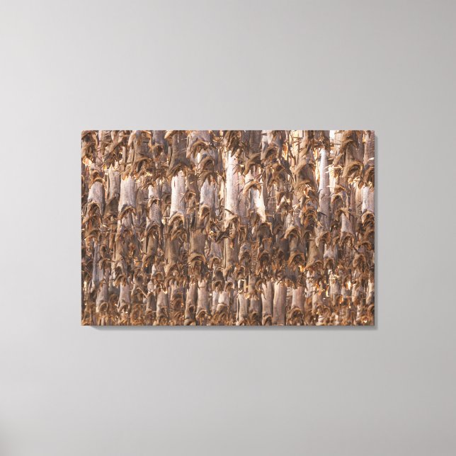 Toile Lofoten Stockfish (Recto)