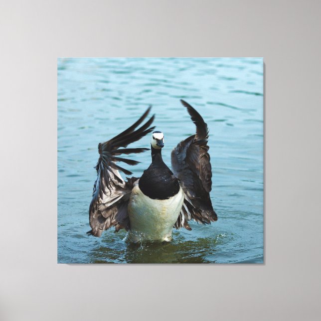 Toile L'Oie du Canada Branta Canadensis (Recto)