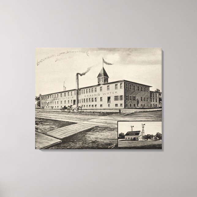 Toile Londonderry Lithia Spring Water Co (Recto)