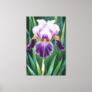 Toile *~* Lone Iris Fleur Artsy Iris Peinture AP84