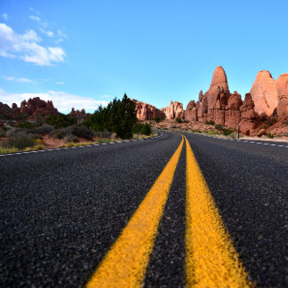Toile Lonely Road in Arches National Park