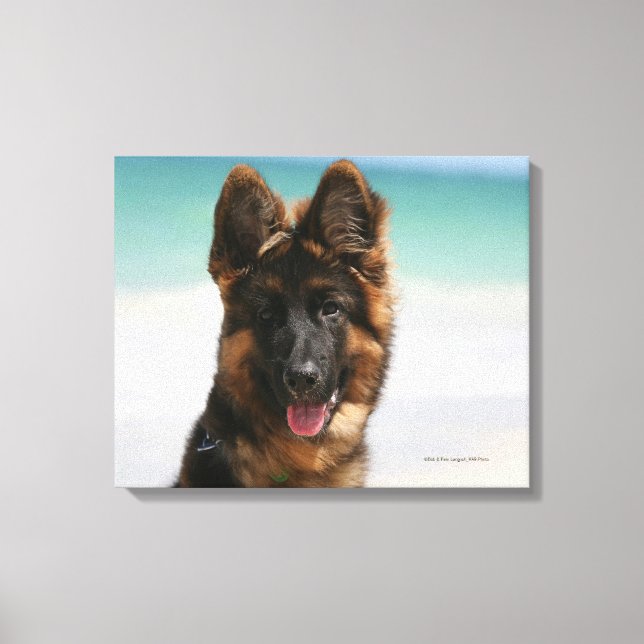Toile Long Haired German Shepherd Beach (Recto)