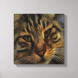 Toile Long Haired Tabby Chat Artistique Portrait d'anima
