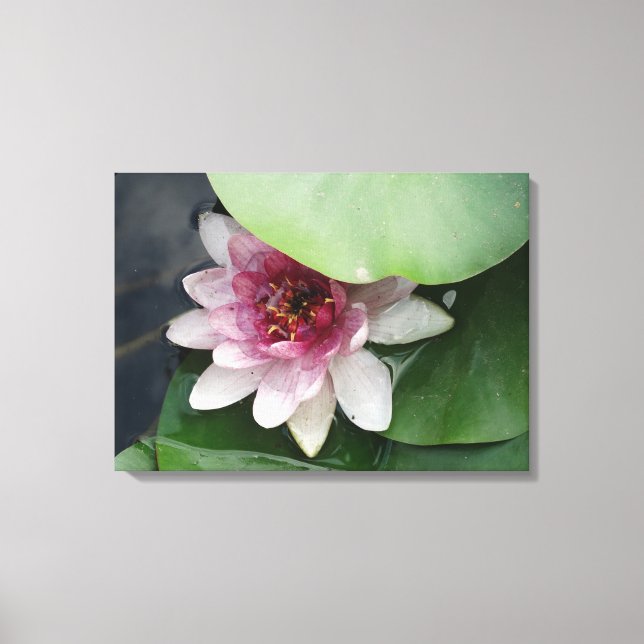 Toile Lotus Flower Photographie Impression (Recto)