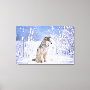 Toile Loup gris assis dans la neige, Canis lupus,