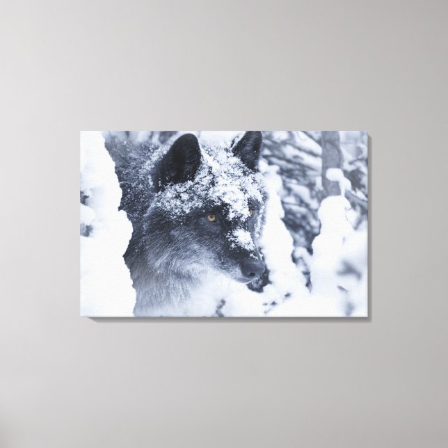Toile Loup solitaire dans la neige (Recto)