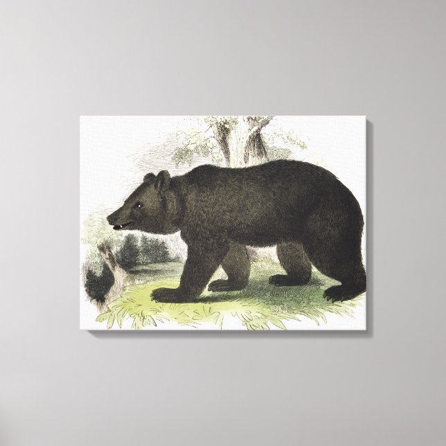 Toile L'ours Brown, pub d'illustration pédagogique. par  (Recto)