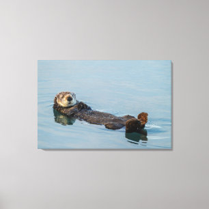 Toile Loutre de mer flottant sur le dos dans l'océan