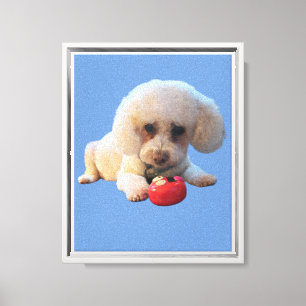 Toile Love My Poodle Stretched Canvas Print