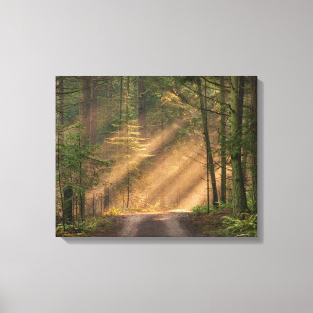 Toile Lumière du soleil à travers la forêt (Recto)