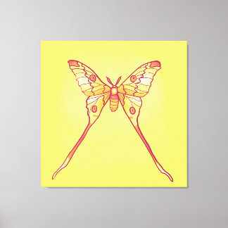 Toile Luna Moth Jaune Orange Cuisine Magique Insecte