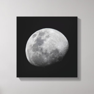 Toile Lune avec ciel noir Zambie, Luangwa du Sud