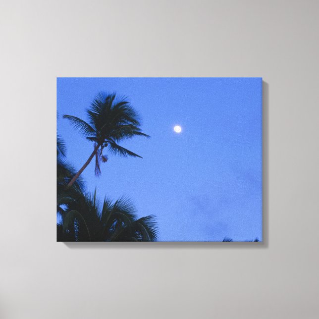 Toile Lune lumineuse, silhouette des cocotiers (Recto)