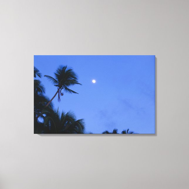 Toile Lune lumineuse, silhouette des cocotiers (Recto)