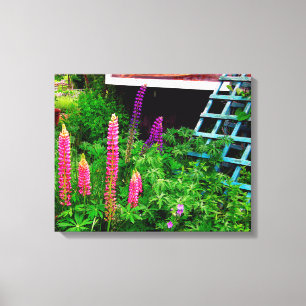 Toile Lupine