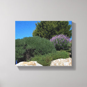 Toile Lupine Rocks !