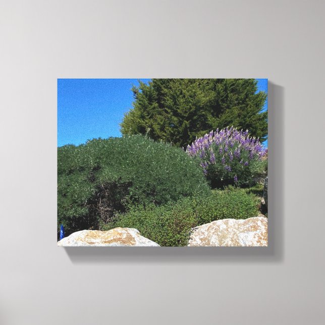 Toile Lupine Rocks ! (Recto)
