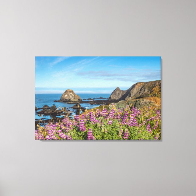 Toile Lupine Wildflowers (Recto)