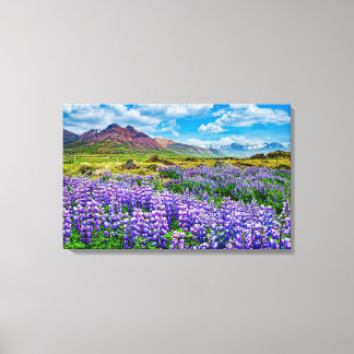 Toile Lupines paysannes d'Islande en fleurs