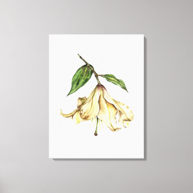Toile Lys blancs (Recto)