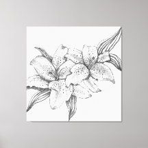 Lys de tigres noirs et blancs