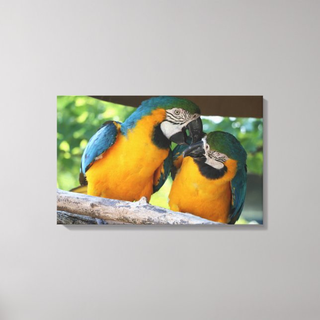 Toile Macaws (Recto)