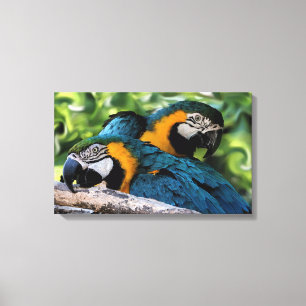 Toile Macaws