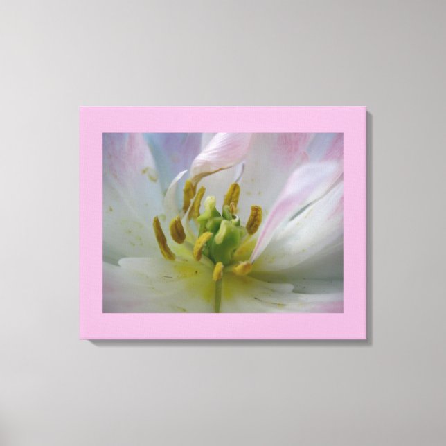 Toile Macro Tulip rose (Recto)