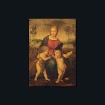 Toile Madonna of the Goldfinch, c.1506<br><div class="desc">Madonna of the Goldfinch,  c.1506 | par Raphael | Lieu de l'art : Galleria degli Uffizi,  Florence,  Italie | Artiste italien | Numéro de collection d'images : XIR30270</div>