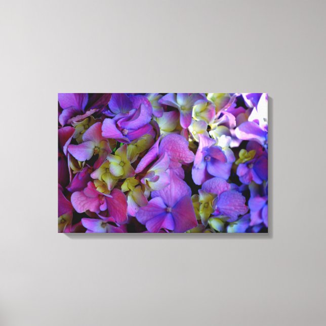 Toile Magenta Purple bleu jaune Hydrangeas fleurs (Recto)