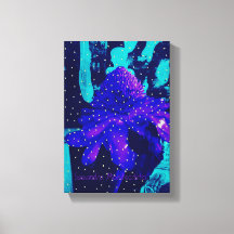 Magic Blue Rose Lecture Nouvelles