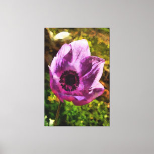 Toile Magnifique Anemone Coronaria Peinture Fleur sauvag