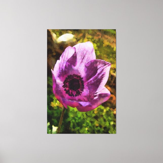 Toile Magnifique Anemone Coronaria Peinture Fleur sauvag (Recto)