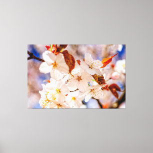 Toile Magnifique Bouquet De Fleurs De Sakura Au Printemp