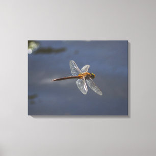 Toile Magnifique Dragonfly Close Up Over Water