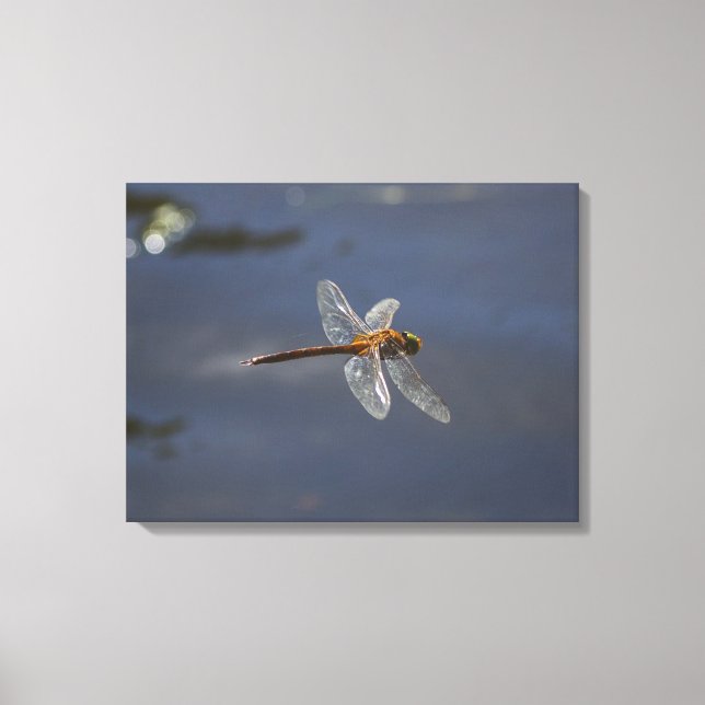 Toile Magnifique Dragonfly Close Up Over Water (Recto)