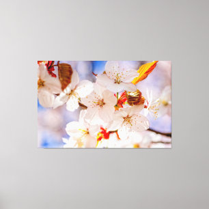 Toile Magnifiques et élégantes fleurs de Sakura au print