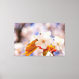 Toile Magnifiques fleurs de Sakura par une journée ensol