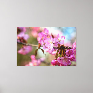 Toile Magnifiques fleurs de sakura roses dans le jardin