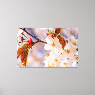 Toile Magnifiques fleurs de Sakura. Saison de Hanami du 
