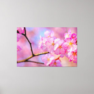 Toile Magnifiques fleurs roses de sakura au printemps