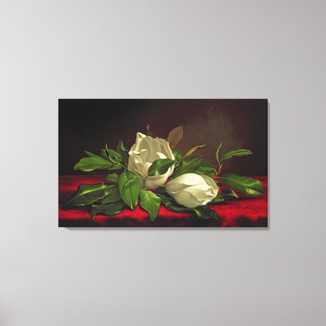 Toile Magnolia (Recto)