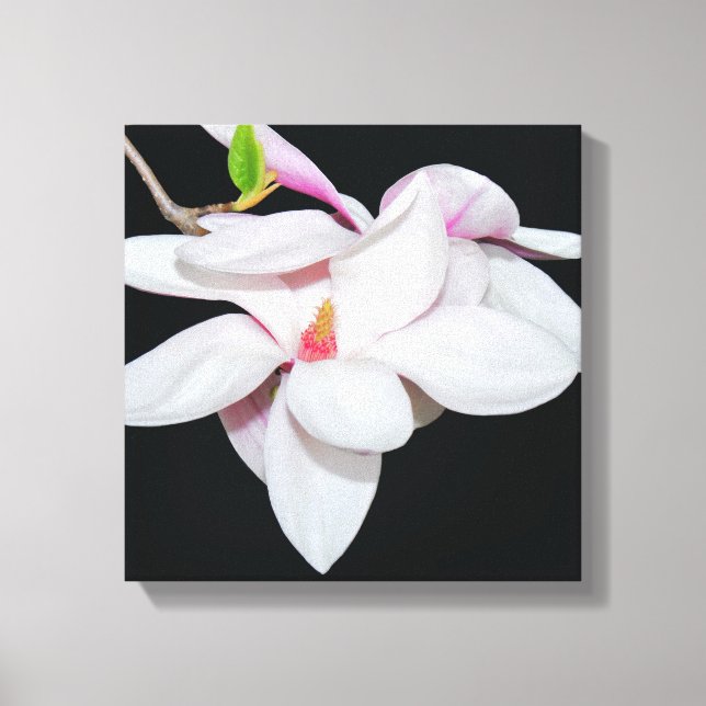 Toile Magnolia blanc (Recto)