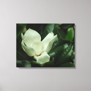 Toile Magnolia foncé