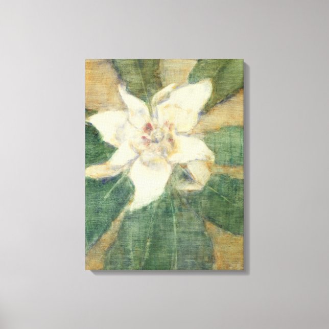 Toile Magnolia Grandiflora (Recto)