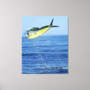 TOILE MAHI MAHI